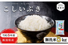 R6年産 無洗米 新潟県産 こしいぶき 5kg