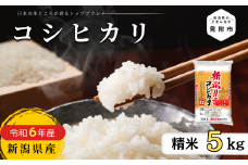 JAえちご中越指定米　R6年産 新潟産コシヒカリ　精米5kg