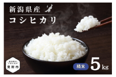 令和7年産 新潟県産 コシヒカリ 5kg 精米 新米 お米 白米 コシヒカリ こしひかり おすすめ 人気 こめ コメ 新潟 見附 見附市 7年 2025年産 ふるさと納税 諸長