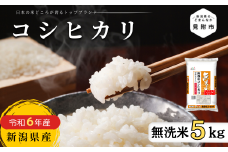 R6年産 無洗米 こしひかり 5kg