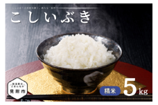 令和7年産 新潟県産 こしいぶき 5kg 精米 新米 お米 白米 コシヒカリ こしひかり おすすめ 人気 こめ コメ 新潟 見附 見附市 7年 2025年産 ふるさと納税 諸長