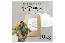 令和6年産【新潟県見附市の新ブランド米】小学校米　10kg