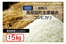米 5kg 新潟県産 コシヒカリ 特別栽培米 令和6年産 「鳥屋脇町生産組合コシヒカリ」 精米したてをお届け 新潟のど真ん中見附市 こしひかり 県認証米