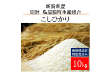 米 10kg 新潟県産 コシヒカリ 特別栽培米 令和6年産 「鳥屋脇町生産組合コシヒカリ」 精米したてをお届け 新潟のど真ん中見附市 こしひかり 県認証米