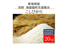 米 20kg 新潟県産 コシヒカリ 特別栽培米 令和6年産 「鳥屋脇町生産組合コシヒカリ」 精米したてをお届け 新潟のど真ん中見附市 こしひかり 県認証米