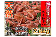 E4026 【期間限定】本ズワイガニ『約2.6kg』セット（雄ガニ（500g×4杯）・女ガニ（150g×4杯））