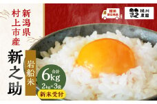 【新米受付・令和7年産米】NA4100 新潟県村上市産 新之助 6kg