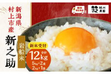 【新米受付・令和7年産米】NB4073 新潟県村上市産 新之助12kg