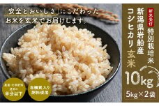 【新米受付・令和7年産米】NAB4019 特別栽培米 新潟県岩船産コシヒカリ玄米 10kg