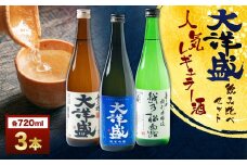 大洋盛の人気レギュラー酒飲み比べ  720ml×3本 3種飲み比べ（純米吟醸・普通酒・辛口特別本醸造）大洋盛セットI 大洋酒造 新潟県 地酒 清酒 [AB4031]