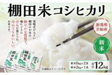 【新米受付・令和7年産米】NB4107 新潟県村上市岩船産　棚田米コシヒカリ12kg