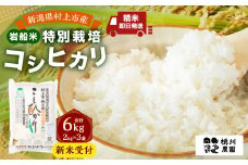 【新米受付・令和7年産米】 NA4209  新潟県村上市桃川産  特別栽培 コシヒカリ 6kg（2kg×3袋）
