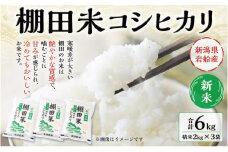 【新米受付・令和7年産米】NA4184 新潟県村上市岩船産　棚田米コシヒカリ6kg