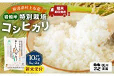【新米受付・令和7年産米】NAB4038 新潟県村上市桃川産 特別栽培 コシヒカリ 10kg（5kg×2袋）