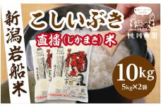 【新米受付・令和7年産米】 新潟県村上市桃川産　直播米　泥根性こしいぶき10㎏  1040004N