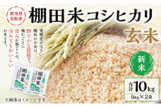 【新米受付・令和7年産米】新潟県村上市岩船産 棚田米 コシヒカリ 玄米 10kg NAB4041