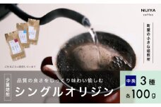 高品質 シングルオリジン コーヒー 飲み比べ 3種×各100g 【 中挽きコーヒー豆 】AB4043