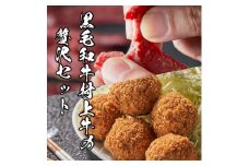 名店「吉祥寺さとう」で修行した名物丸メンチカツ 5個 ＆黒毛和牛ビーフジャーキー50g×2袋 セット 1031007