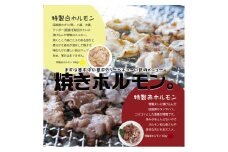 【数量限定】 特製ホルモン 赤白ニコニコセット 1.5kg 7～8人前  A4235