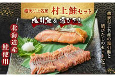 村上鮭セット（塩引鮭 8切・酒びたし 1袋） 1025004