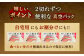 塩引鮭 切身 8切れ （2切×4パック）