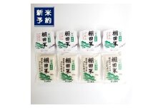 【新米受付・令和7年産米】 棚田米コシヒカリ 白米1.2kg（300g×4袋）+ 棚田米コシヒカリのパックごはん(150g×4個)セット 計1.8kg  新潟県村上市岩船産 1067082N