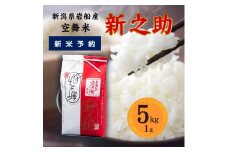 【新米受付・令和7年産米】空舞米 新之助 5kg　新潟県 村上市 岩船産 しんのすけ 精米 白米 産地直送 お米 こめ コメ 1063005N
