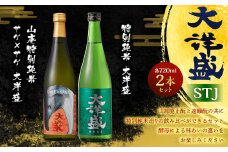 大洋盛 セット STJ（720ml 飲み比べ 2本セット）1009004 大洋酒造 サケ×サケ大洋盛 特別純米大洋盛 日本酒 お酒 酒
