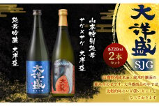 大洋盛 セット SJG（720ml 飲み比べ 2本セット）1009005 大洋酒造 サケ×サケ大洋盛 純米吟醸　大洋盛 日本酒 お酒 酒
