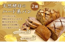 【ミックスセット】天然酵母のハード系パン2種（カンパーニュmix nuts・ライ麦100％プレーン）　1090003