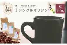 【定期便：3ヶ月連続でお届け】シングルオリジンコーヒー 100g × 3品種（豆）計300g×3ヶ月 1075021 コーヒー 珈琲 コーヒー豆