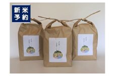 【新米受付・令和7年産米】【数量限定】新潟県岩船産 こしひかり 辰次郎のお米 精米 2kg×3袋 計6kg　1072002N