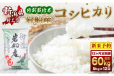 【新米受付・令和7年産米】特別栽培米 新潟県岩船産コシヒカリ60kg（5kg×12ヶ月コース） 1013009N  定期便 毎月 新米予約 お米  白米 こしひかり 精米 村上市