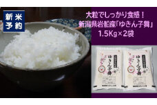 【新米受付・令和7年産米】大粒でしっかり食感 新潟県村上市岩船産 ゆきん子舞 3kg（1.5kg×2袋） 1039042N 白米 新潟 岩船 ゆきん子舞 一等米 農家直送 あっさり 低温倉庫保管 新耕農産
