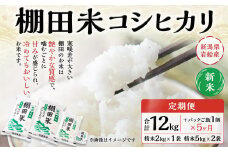 【新米受付・令和7年産米】【定期便：5ヶ月連続でお届け】新潟県村上市岩船産  棚田米コシヒカリ 12kg+パックごはん(150ｇ×1個)×5ヶ月 1067120N 毎月 新米予約 お米 白米 こしひかり 精米 村上市