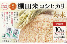 【新米受付・令和7年産米】【定期便：2ヶ月連続でお届け】 新潟県村上市岩船産 棚田米コシヒカリ 玄米10kg ＋ 棚田米コシヒカリのパックごはん(150g×1個)×2ヶ月 1067123N