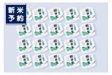 【新米受付・令和7年産米】【定期便：6ヶ月連続でお届け】新潟県村上市岩船産 棚田米 コシヒカリのパックごはん (150g×20個)×6ヶ月 1067139N