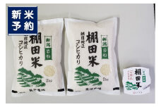 【新米受付・令和7年産米】【12ヶ月定期便】新潟県村上市岩船産 棚田米コシヒカリ 4kg（2kg×2袋）+パックごはん(150g×1個) ×12ヶ月 1067146N