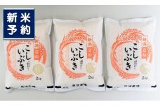 【新米受付・令和7年産米】 こしいぶき 白米6kg（2kg×3） 新潟県村上市岩船産　1067102N