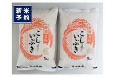 【新米受付・令和7年産米】 こしいぶき 白米10kg（5kg×2） 新潟県村上市岩船産　1067103N