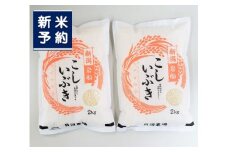 【新米受付・令和7年産米】 こしいぶき 白米4kg（2kg×2） 新潟県村上市岩船産　1067100N