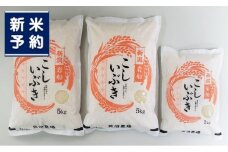 【新米受付・令和7年産米】 こしいぶき 白米12kg（5kg×2、2kg×1） 新潟県村上市岩船産　1067104N