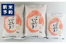 【新米受付・令和7年産米】 こしいぶき 白米12kg（5kg×2、2kg×1） 新潟県村上市岩船産　1067104N