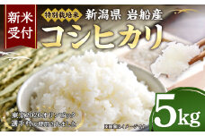 【新米受付・令和7年産米】特別栽培米新潟県村上市岩船産コシヒカリ5kg 1029003N