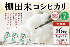 【新米受付・令和7年産米】【定期便：12ヶ月連続でお届け】新潟県村上市岩船産 棚田米コシヒカリ 6kg（2kg×3袋）+パックごはん(150ｇ×1個) ×12ヶ月 1067147N 毎月 新米予約 お米 白米 こしひかり 精米 村上市 