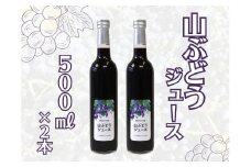 【11月中旬発送・数量限定】山ぶどうジュース500ml×2本セット　1030002