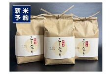 【新米受付・令和7年産米】新潟県村上市　岩船産コシヒカリ6kg（2kg×３袋）　1103001N