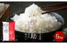 【令和6年産米】村上市産 新之助 5kg 1027009