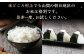 【令和6年産米】 村上市産 新之助 5kg