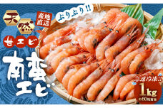 【11月以降発送】「南蛮エビ（甘エビ）」1kg 新鮮！県北寝屋漁港直送！ 1043001 